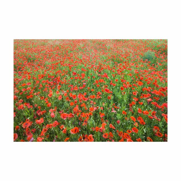 mattor röd Poppy Field