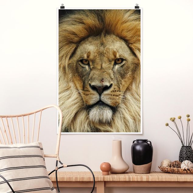 Kök dekoration Wisdom Of Lion