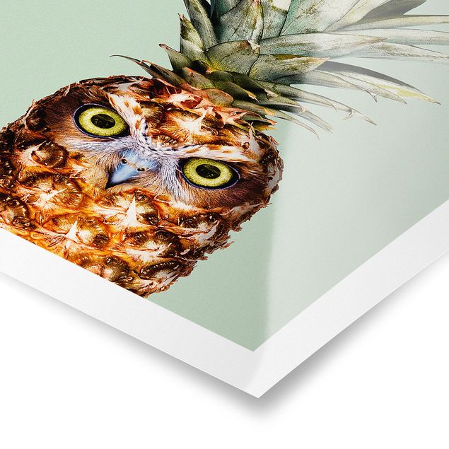 Tavlor Jonas Loose Pineapple With Owl