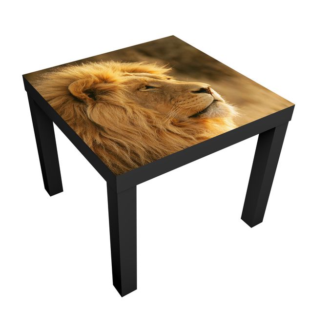 Möbelfolier King Lion