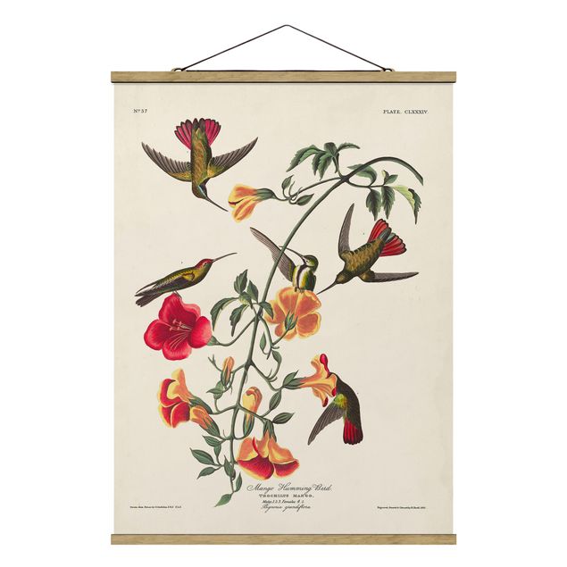 Tavlor retro Vintage Board Mango Hummingbirds