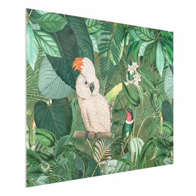 Kök dekoration Vintage Collage - Kakadu And Hummingbird
