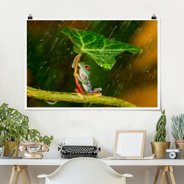Kök dekoration Frog In The Rain