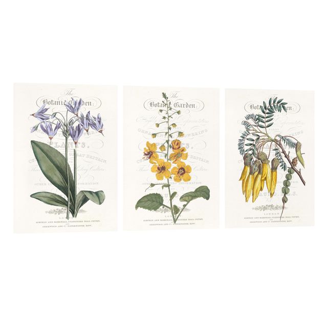 Tavlor blommor  Botanical Tableau Set I
