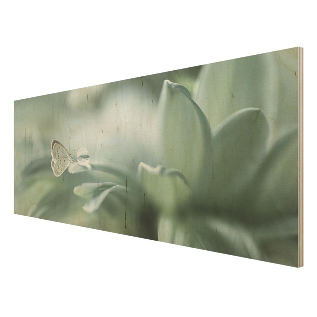 Tavlor Butterfly And Dew Drops In Pastel Green