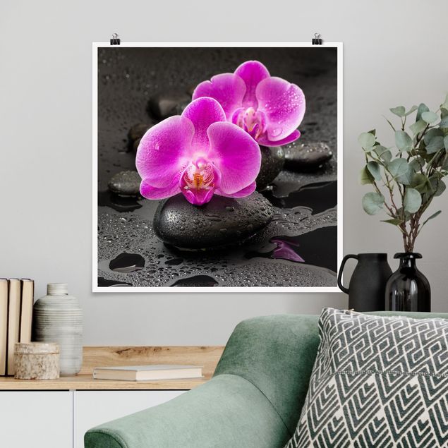 Tavlor orkidéer Pink Orchid Flower On Stones With Drops
