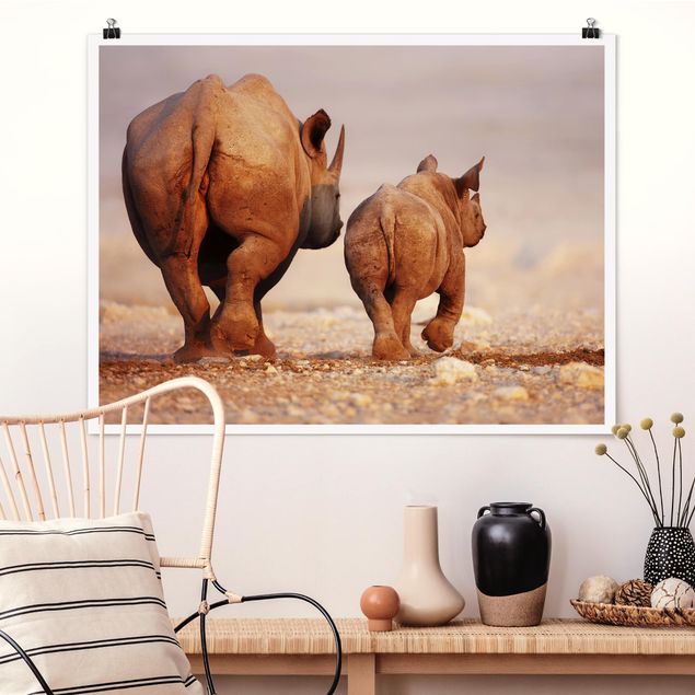 Kök dekoration Wandering Rhinos