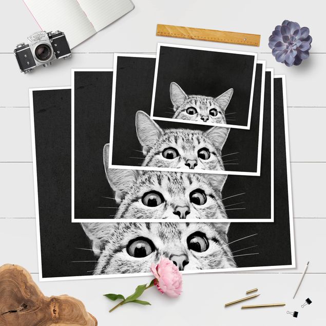 Posters konstutskrifter Illustration Cat Black And White Drawing