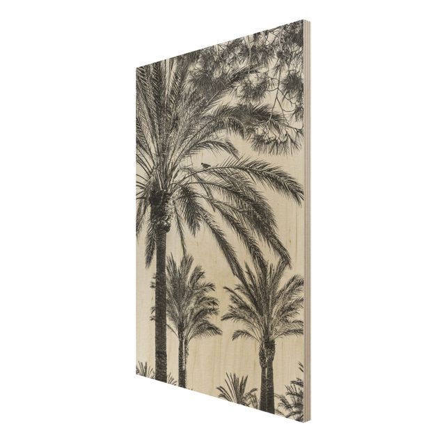 Trätavlor landskap Palm Trees At Sunset Black And White