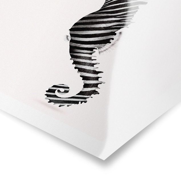 Posters svart och vitt Seahorse With Zebra Stripes