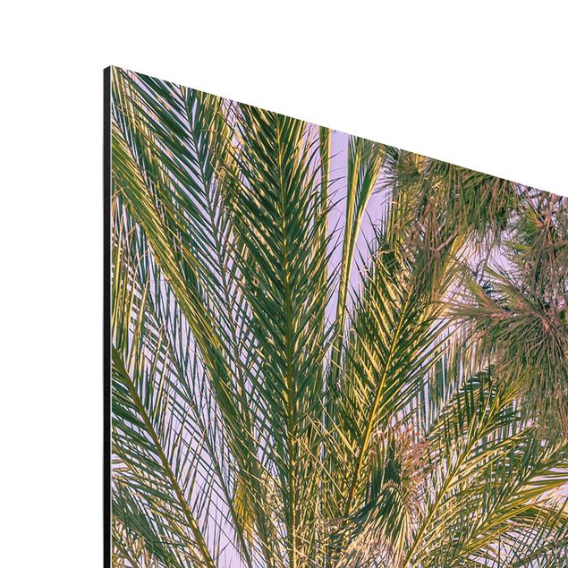 Tavlor konstutskrifter Palm Trees At Sunset