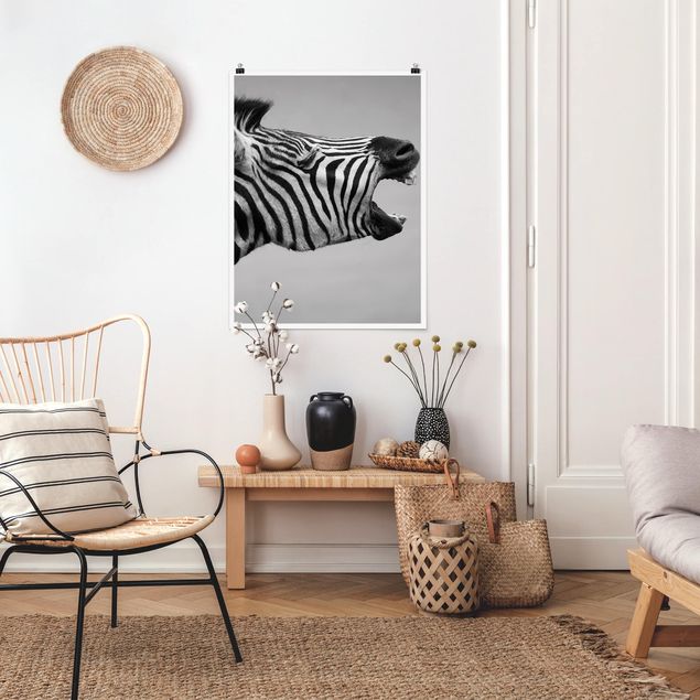 Posters svart och vitt Roaring Zebra ll