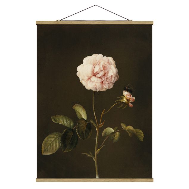 Tavlor blommor Barbara Regina Dietzsch - French Rose With Bumblbee