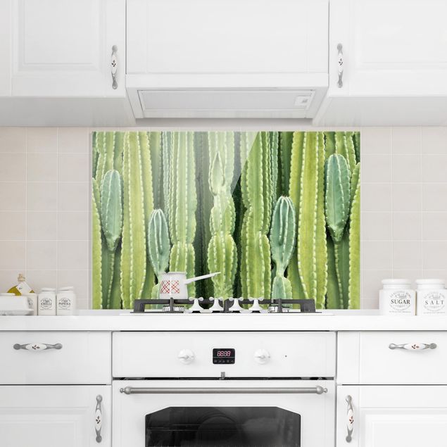 Stänkskydd kök glas blommor  Cactus Wall