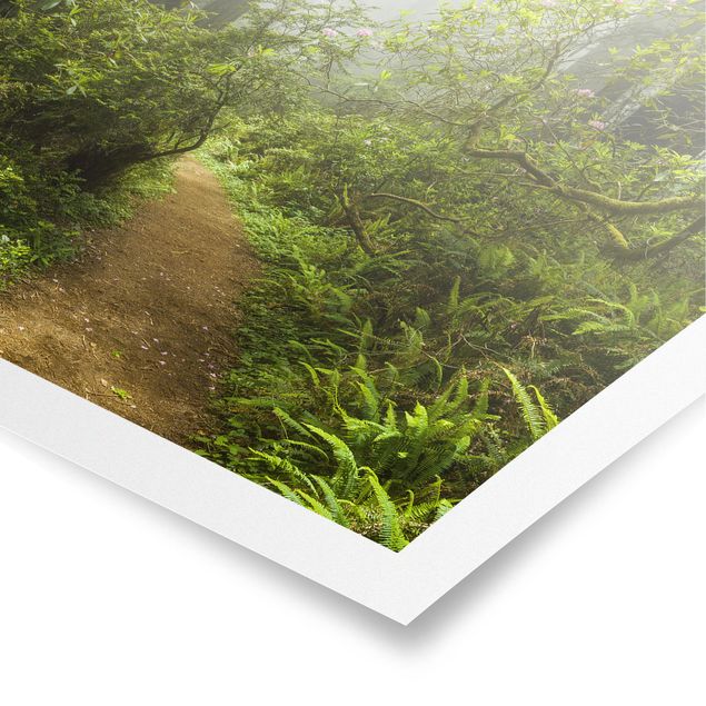 Tavlor modernt Misty Forest Path
