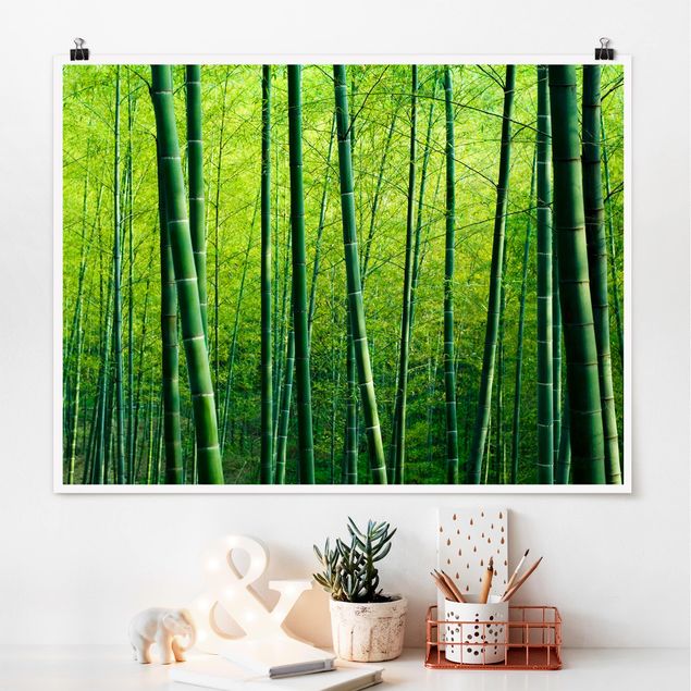 Kök dekoration Bamboo Forest