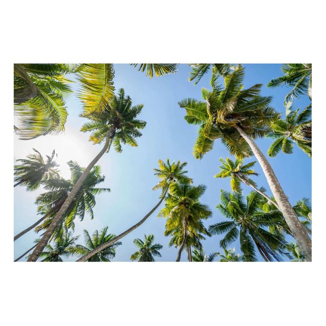 Tavlor landskap Palm Tree Canopy