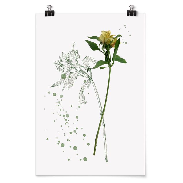 Tavlor blommor  Botanical Watercolour - Lily