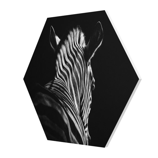 Tavlor Dark Zebra Silhouette