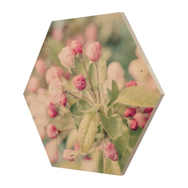 Tavlor Andrea Haase Apple Blossom Pink Bokeh