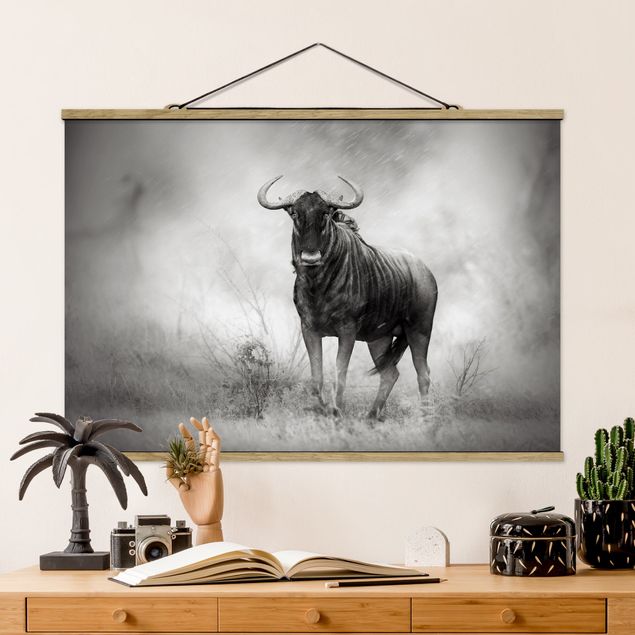 Kök dekoration Staring Wildebeest