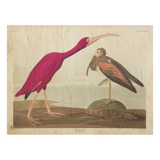 Trätavlor landskap Vintage Board Red Ibis