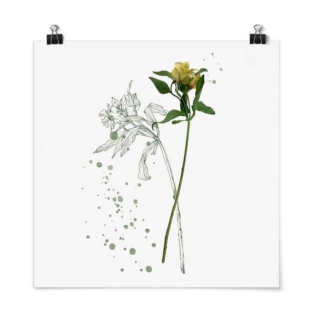 Tavlor blommor Botanical Watercolour - Lily