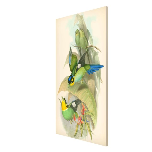 Tavlor blommor Vintage Illustration Tropical Birds
