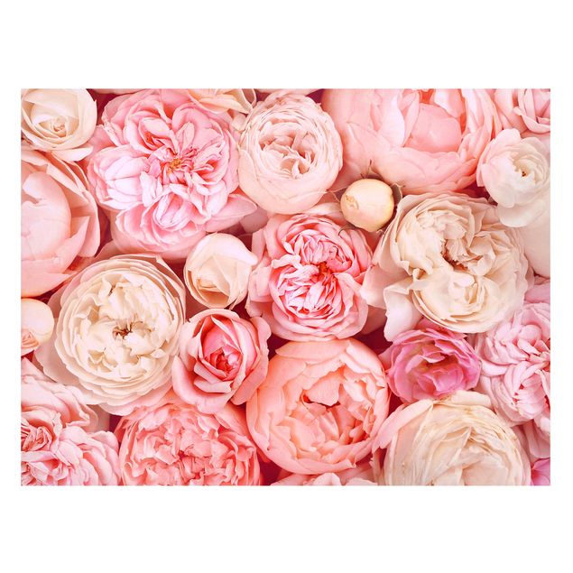 Magnettavla blommor  Roses Rosé Coral Shabby