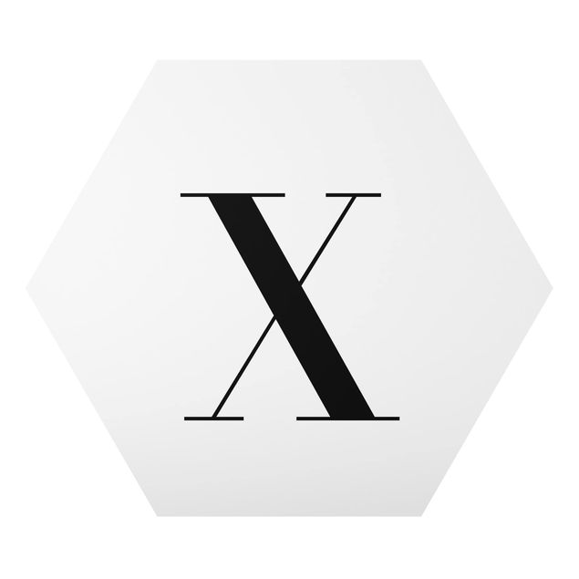 Tavlor Letter Serif White X