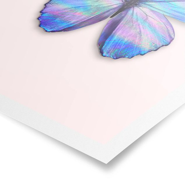 Posters djur Holographic Butterfly