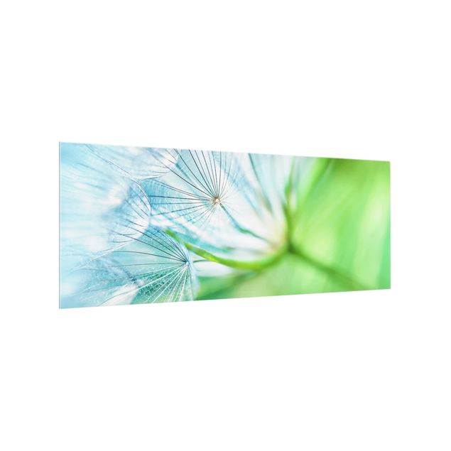 glasskiva kök Abstract dandelion