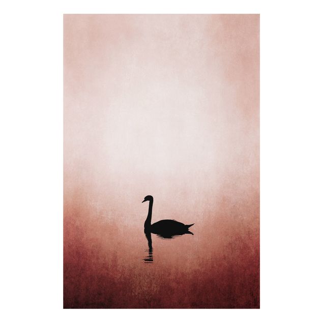 Tavlor landskap Swan In Sunset