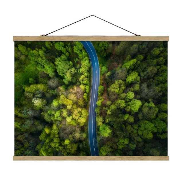 Tavlor natur Aerial View - Asphalt Road In The Forest