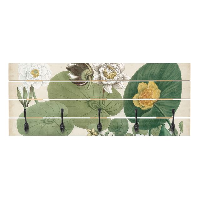 Klädhängare vägg grön Vintage Board White Water-Lily