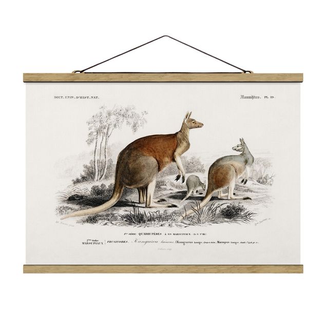 Tavlor retro Vintage Board Kangaroo