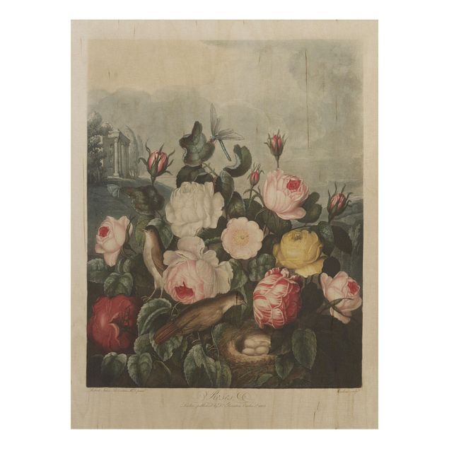 Trätavlor blommor  Botany Vintage Illustration Of Roses