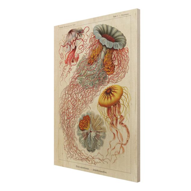 Tavlor Vintage Board Jellyfish