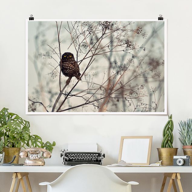 Kök dekoration Owl In The Winter