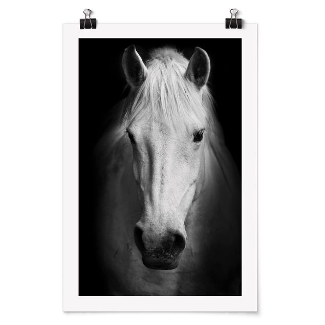 Posters djur Dream Of A Horse