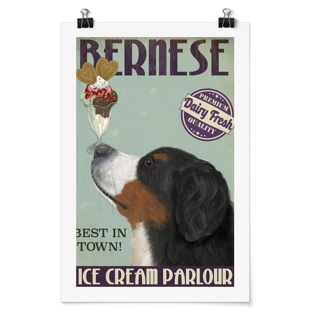 Posters djur Bernese Mountain Dog With Ice