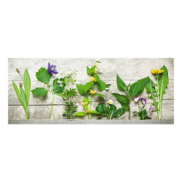 glasskivor kök Medicinal And Wild Herbs