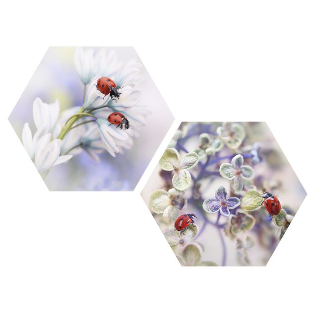 Tavlor modernt Ladybug On Flowers