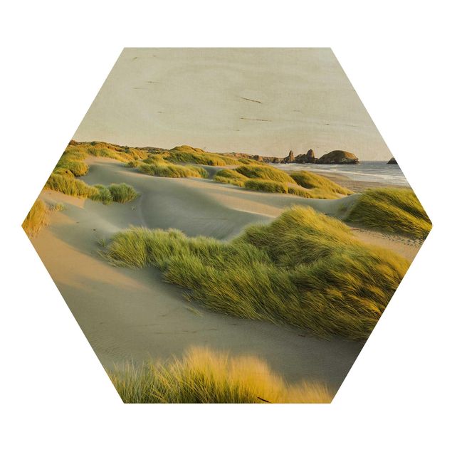 Tavlor Rainer Mirau Dunes And Grasses At The Sea