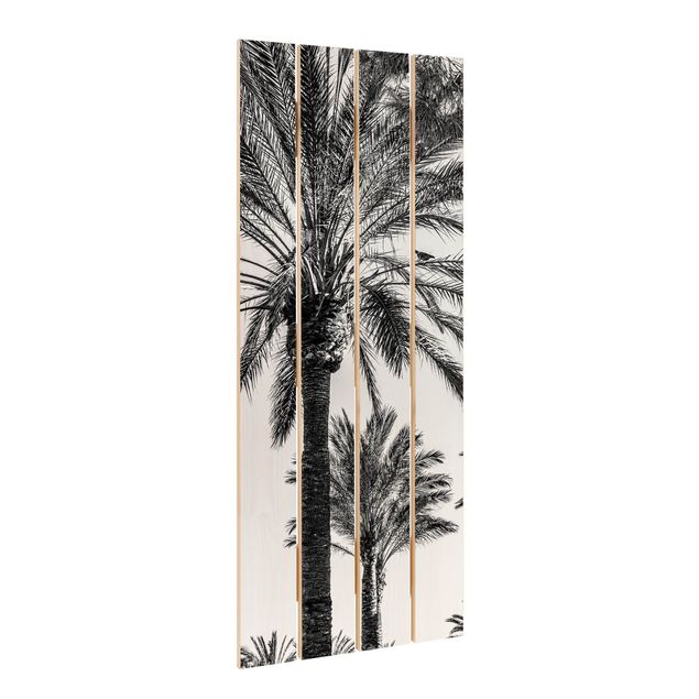 Tavlor Palm Trees At Sunset Black And White