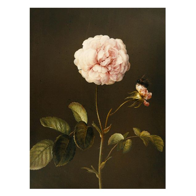 Konstutskrifter Barbara Regina Dietzsch - French Rose With Bumblbee