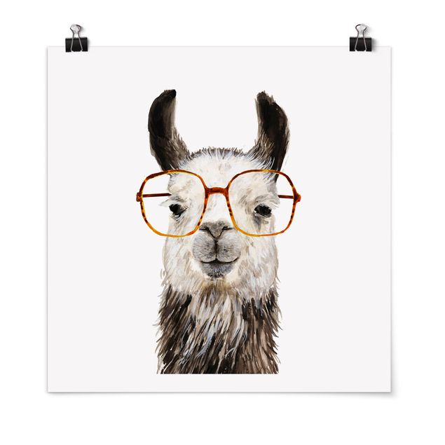 Posters djur Hip Lama With Glasses IV