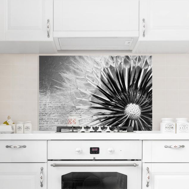 Stänkskydd kök glas blommor  Dandelion Black & White