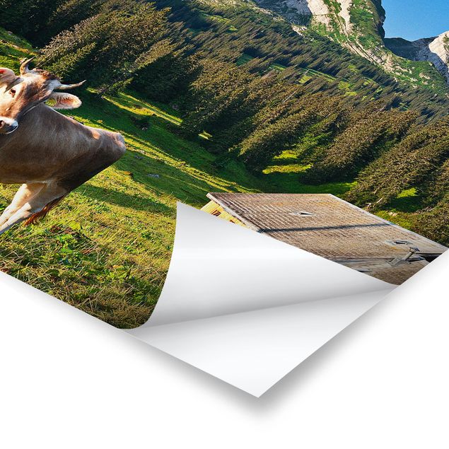 Posters landskap Swiss Alpine Meadow With Cow