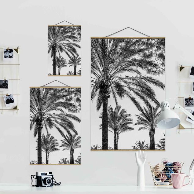 Tavlor svart och vitt Palm Trees At Sunset Black And White